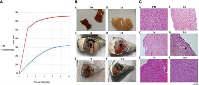 Multi-Omics Study on the Molecular Mechanisms of Tetraodon Nigroviridis Resistance to Exogenous Vibrio Parahaemolyticus Infection